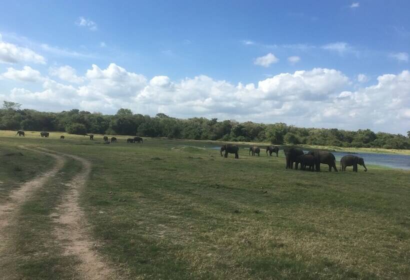 Rivonway Hotel Polonnaruwa