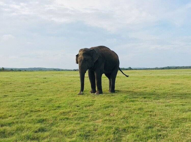 Rivonway Hotel Polonnaruwa