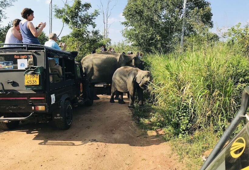 Rivonway Hotel Polonnaruwa