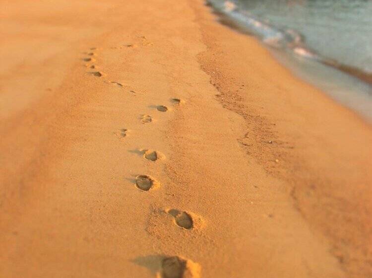 Hotel Eden's Edge Lodge