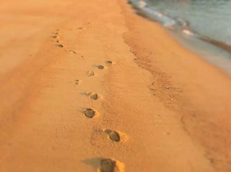 Hotelli Eden's Edge Lodge