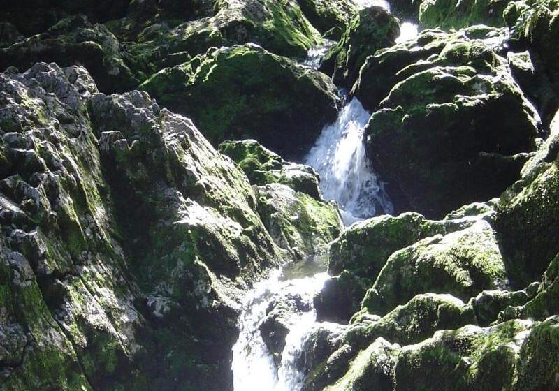 Hotel Eden's Edge Lodge