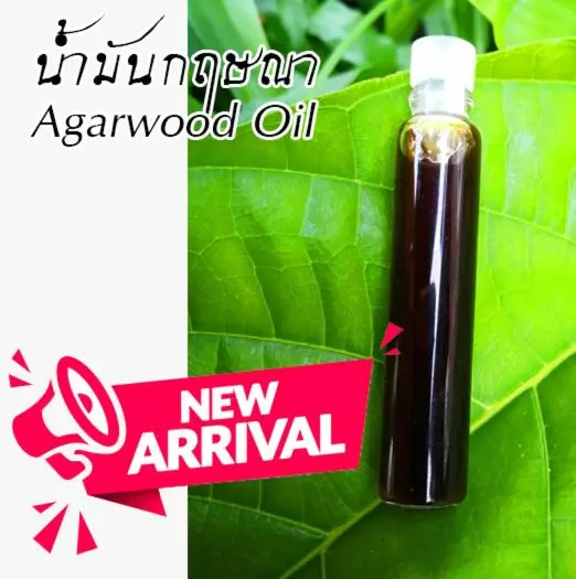 Saengcha Farm Resort