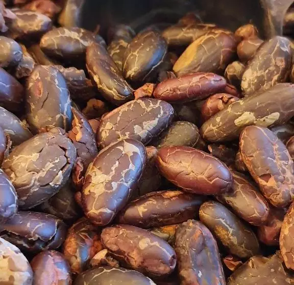 Saengcha Farm Resort