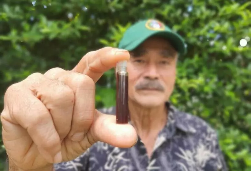 Saengcha Farm Resort