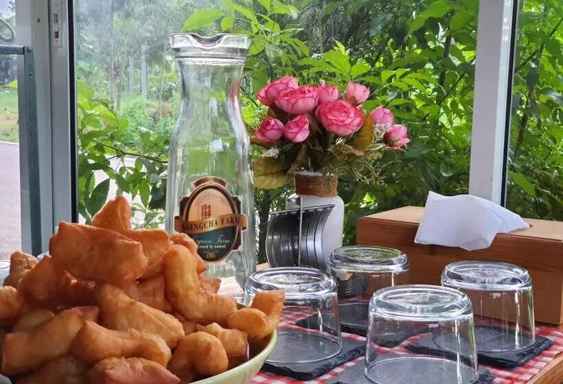 Saengcha Farm Resort