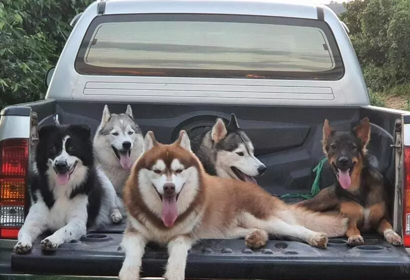 Saengcha Farm Resort