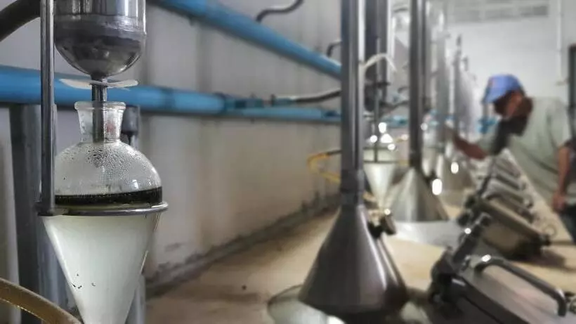 Saengcha Farm Resort