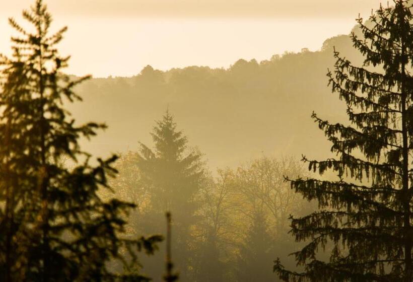 Pensiunea Colt De Munte