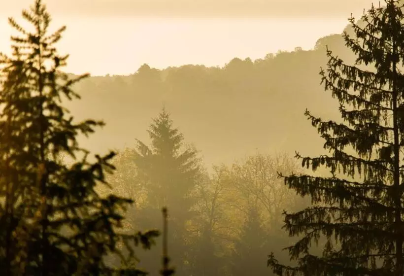 Pensiunea Colt De Munte