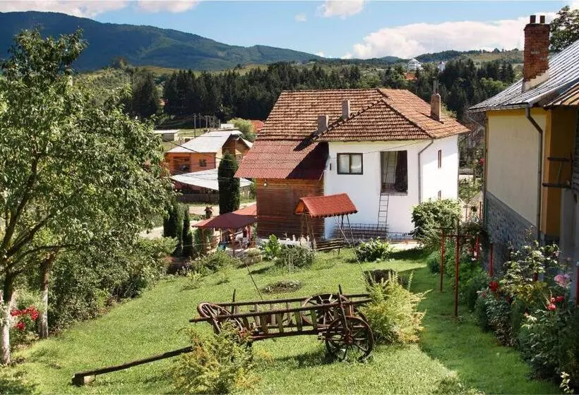 Pensiunea Colt De Munte