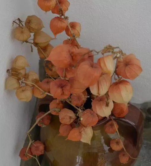 Pensiunea Colt De Munte