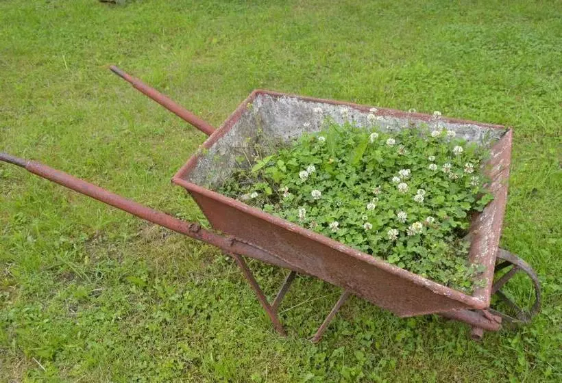 Pensiunea Colt De Munte