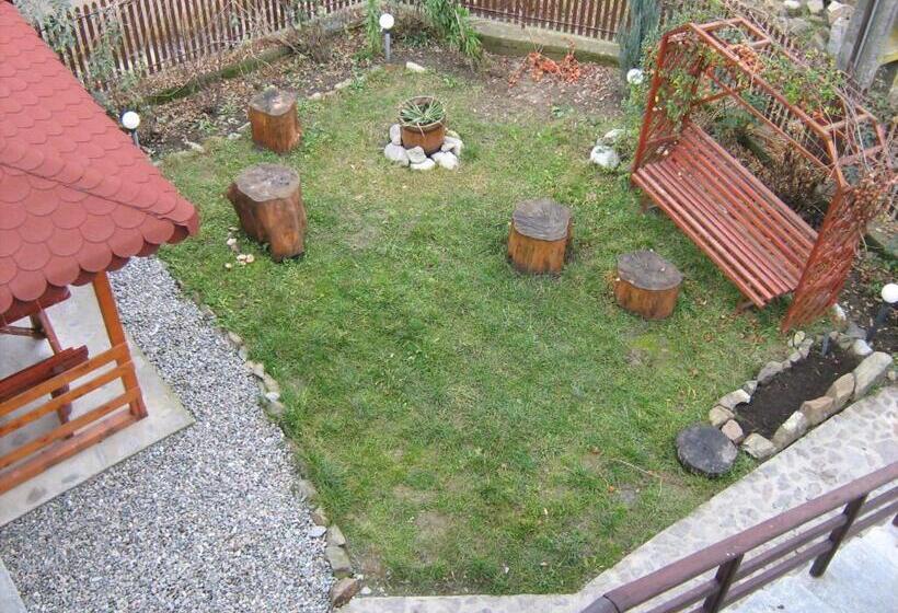 Pensiunea Colt De Munte