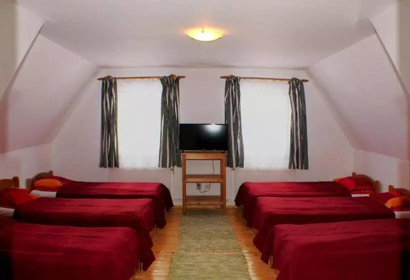 Súgó Panzió Madarasi Hargita