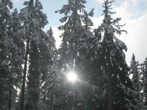 Súgó Panzió Madarasi Hargita