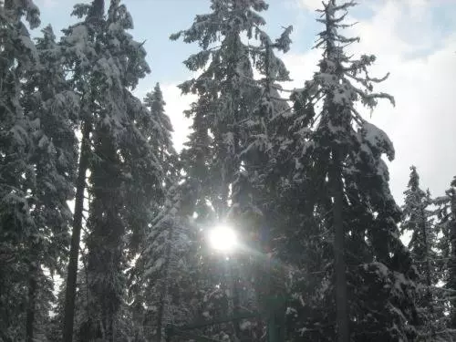 Súgó Panzió Madarasi Hargita