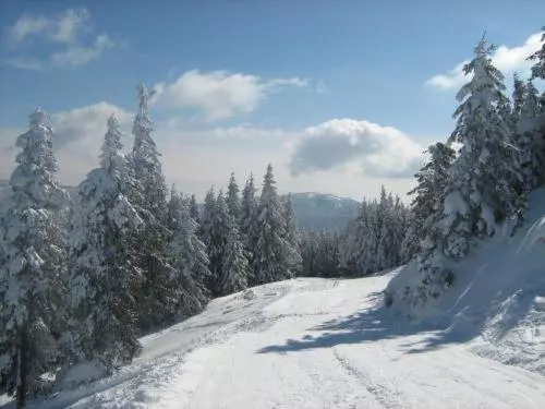 Súgó Panzió Madarasi Hargita