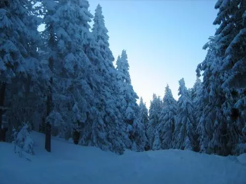 Súgó Panzió Madarasi Hargita