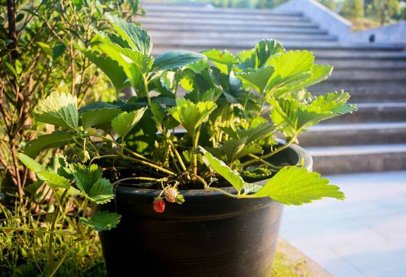 Hotel Phu Chom Mork Resort