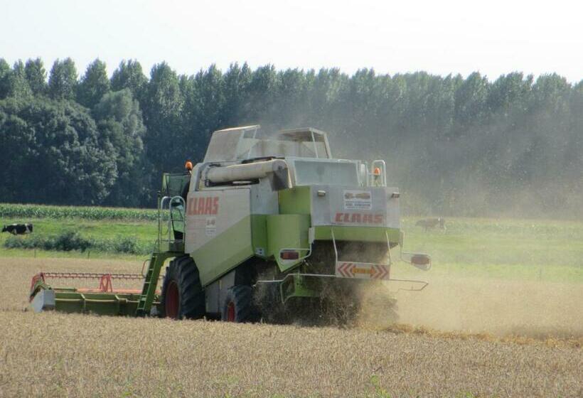 B&b Boerderij Wijtvliet