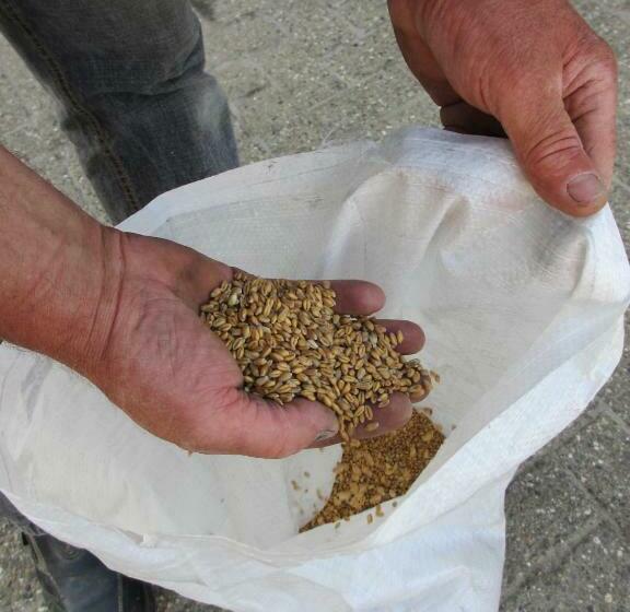 B&b Boerderij Wijtvliet