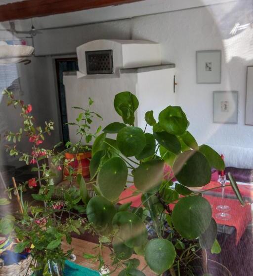 Bed And Breakfast Da Toldo