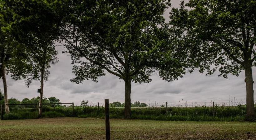 ベッドアンドブレックファースト Erve Fakkert