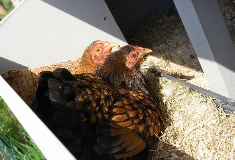 ベッドアンドブレックファースト Erve Fakkert