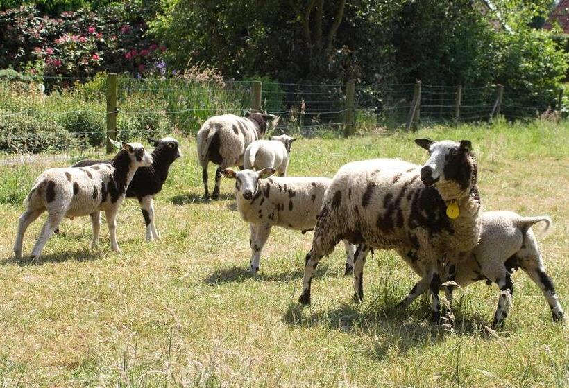 ベッドアンドブレックファースト Erve Fakkert