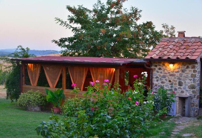 Отель Agriturismo Podere Micitto
