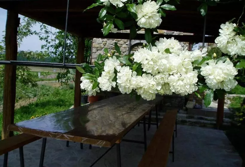 ホテル Agriturismo Podere Micitto