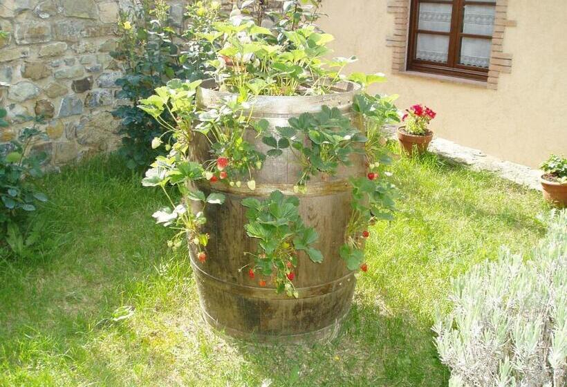 Отель Agriturismo Podere Micitto