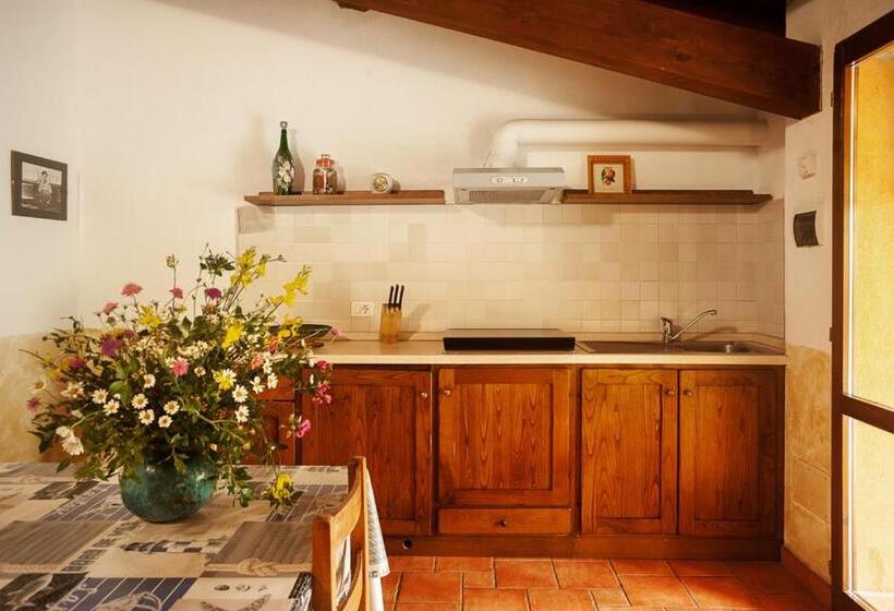 בית מלון כפרי Agriturismo Podere Mulinaccio