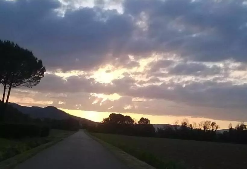 ホテル Agriturismo Podere Mulinaccio