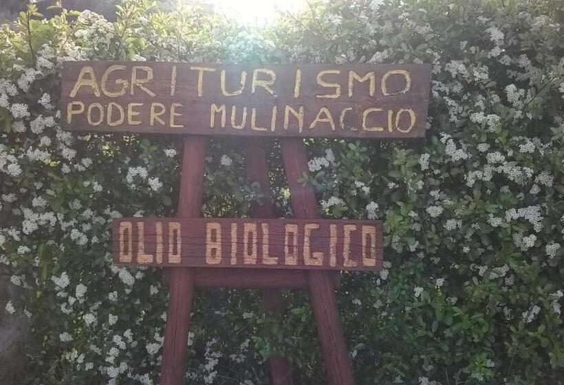 בית מלון כפרי Agriturismo Podere Mulinaccio