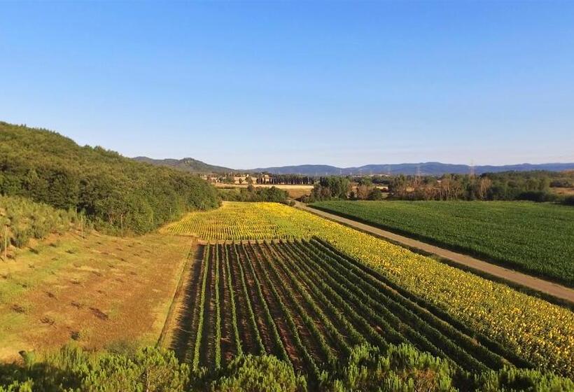 בית מלון כפרי Agriturismo Podere Mulinaccio