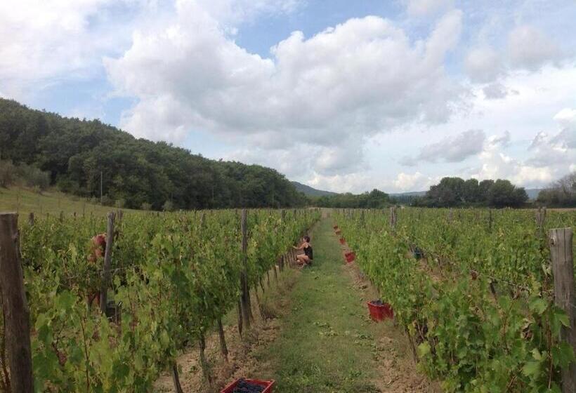 בית מלון כפרי Agriturismo Podere Mulinaccio