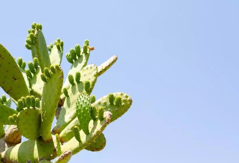 Majatalo Desert Dew Guest House