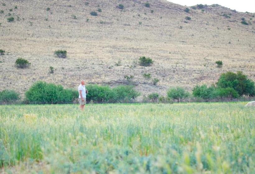 פנסיון Desert Dew Guest House