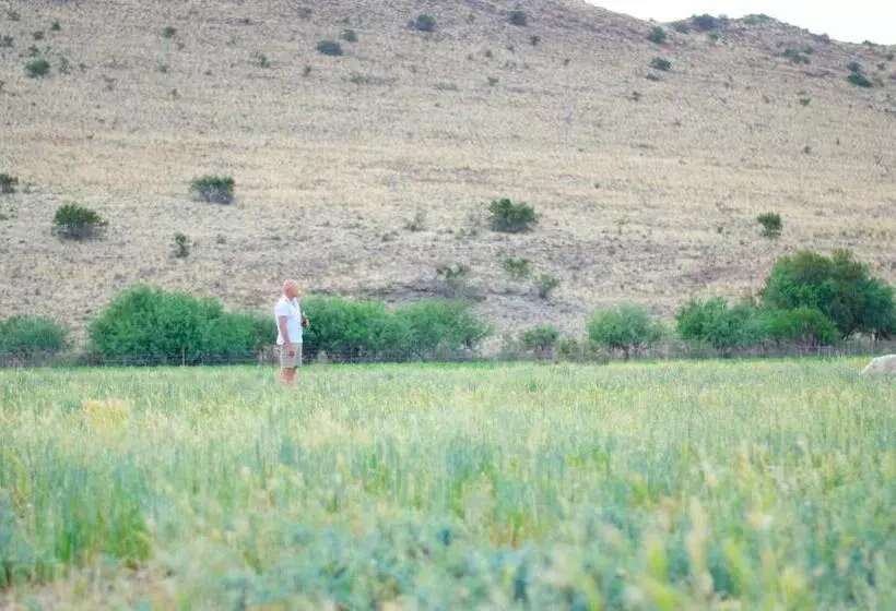 Majatalo Desert Dew Guest House