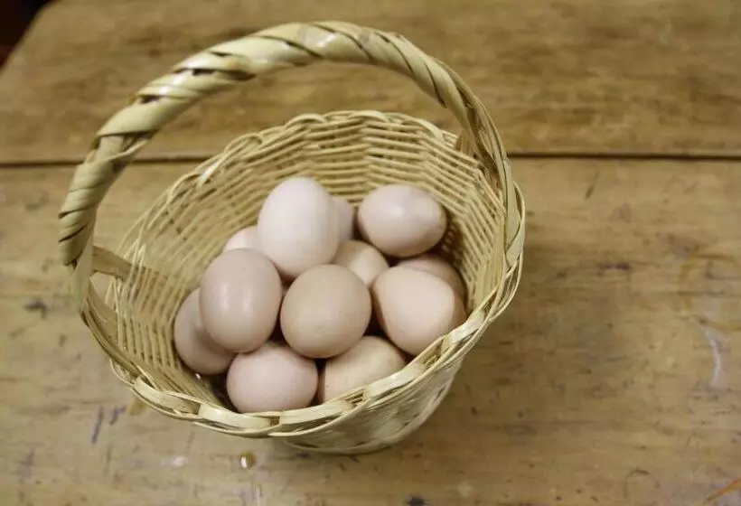 Majatalo Desert Dew Guest House