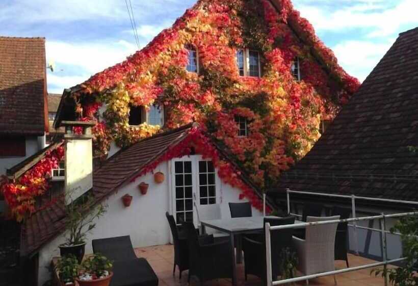 פנסיון Guesthouse Les Mignardises