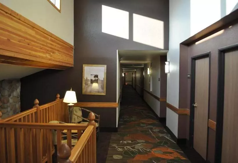 هتل Spark By Hilton Cedar Falls