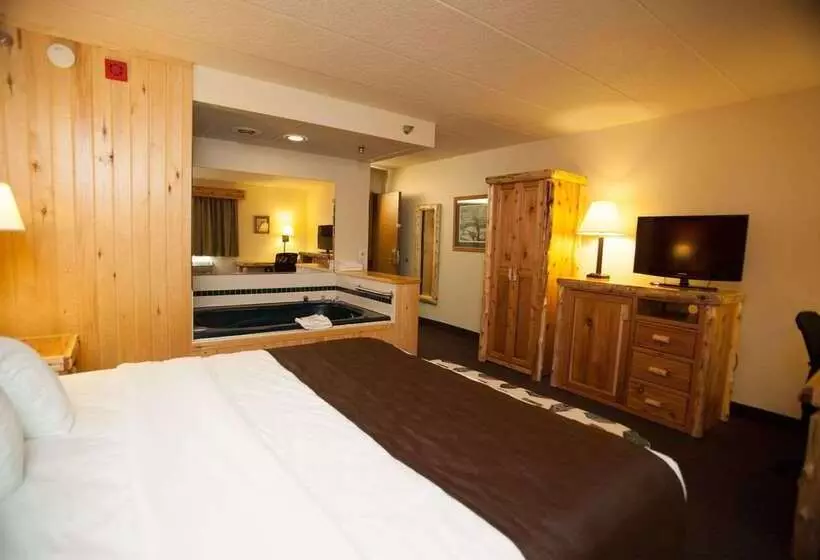 ホテル Americinn By Wyndham Pequot Lakes/jenkins