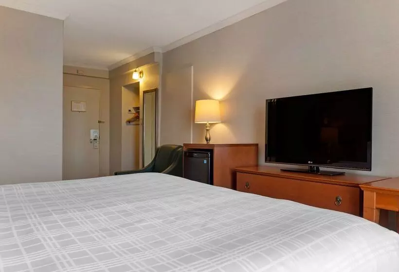 호텔 Best Western Plus Gatineauottawa Downtown