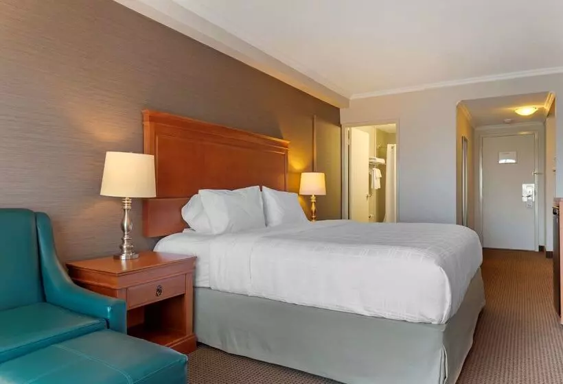 호텔 Best Western Plus Gatineauottawa Downtown