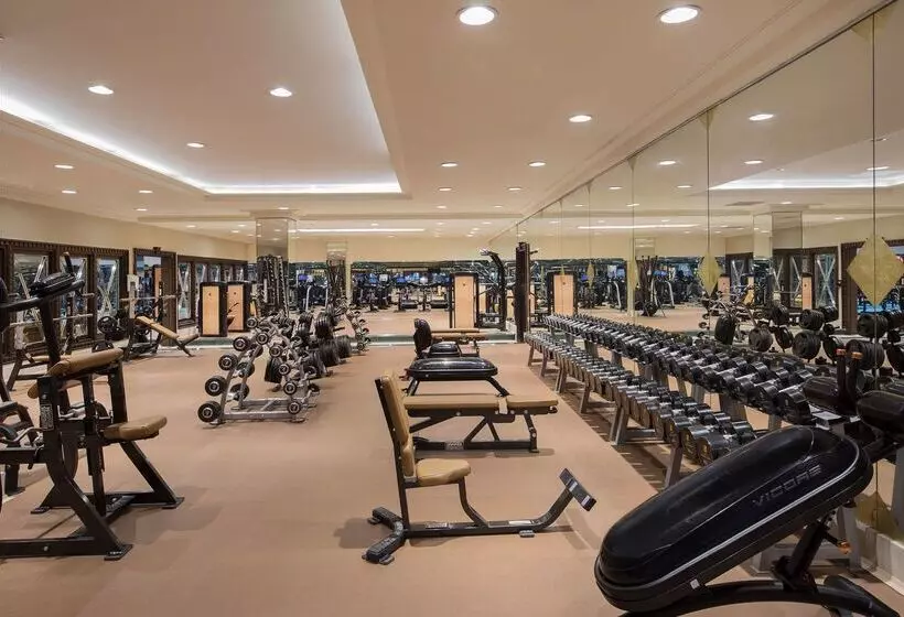 Отель Jeddah Hilton