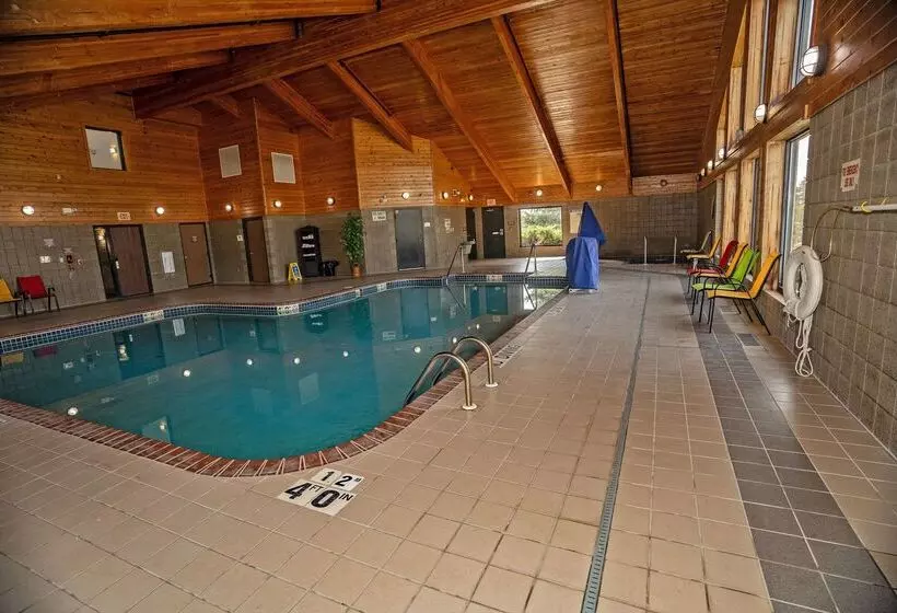 هتل Quality Inn Near Medical Center