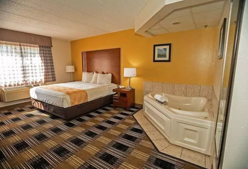 هتل Quality Inn Near Medical Center